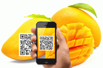  Tăng cường kiểm soát và truy xuất nguồn gốc nguyên liệu thực phẩm