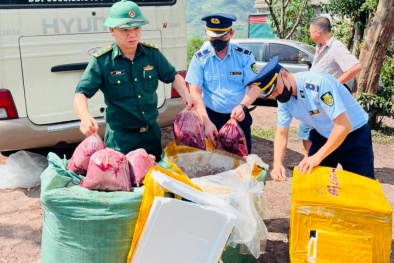 Quảng Trị: Liên tiếp phát hiện số lượng lớn nội tạng động vật không rõ nguồn gốc