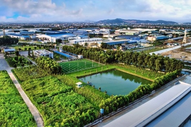 Phát triển kinh tế xanh: Đẩy mạnh hướng dẫn thực hiện các văn bản pháp luật về tiêu chuẩn môi trường