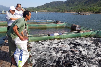 Kiến nghị sớm ban hành quy chuẩn mới trong lĩnh vực nuôi trồng thủy sản