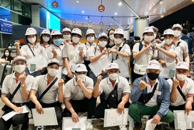 Cảnh báo tình trạng lừa đảo xuất khẩu lao động sang Australia 