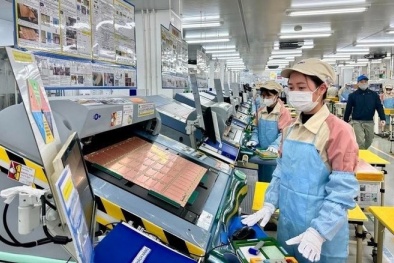 Doanh nghiệp gia nhập và tái gia nhập thị trường gia tăng