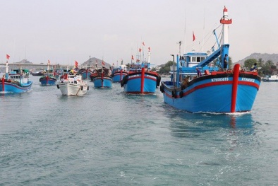 Tháo gỡ thẻ vàng IUU: Xử lý nghiêm tàu cá vi phạm giám sát hành trình