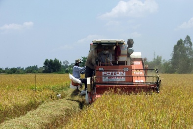Thay đổi tư duy mua bán sang tư duy hợp tác- tăng sức cạnh tranh của nông sản trên trường quốc tế