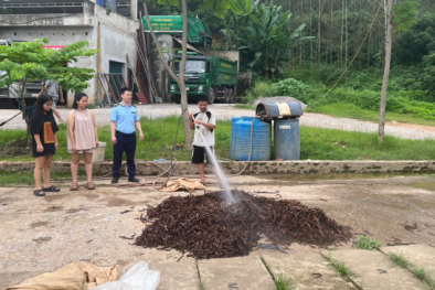 Lạng Sơn: Tiêu hủy 1.380 kg măng không rõ nguồn gốc, xuất xứ