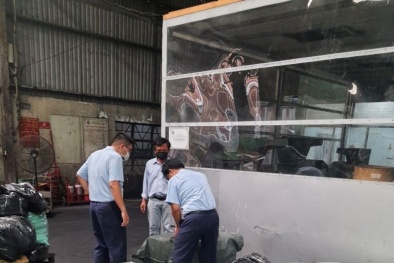 Buộc tiêu hủy gần 8 tấn nội tạng động vật nhập lậu của Công ty TNHH Thực phẩm T.T.P 