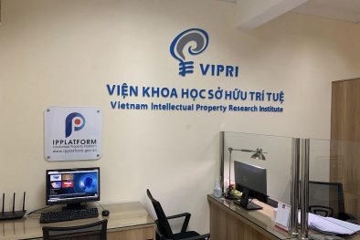 Các yếu tố ảnh hưởng đến chi phí thực tế của dịch vụ giám định sở hữu công nghiệp