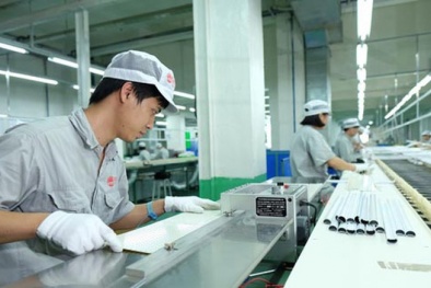 Bình Thuận: Xây dựng 12 mô hình hỗ trợ doanh nghiệp áp dụng tiêu chuẩn, công cụ cải tiến năng suất