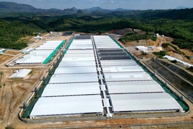 Yêu cầu dừng hoạt động đối với Công ty Agri – Vina do vi phạm gây ô nhiễm môi trường