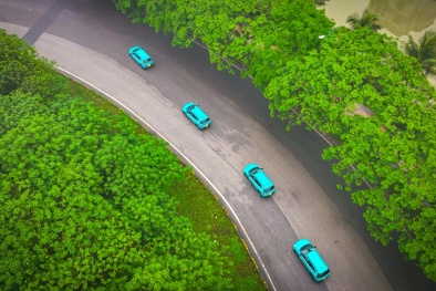 GSM triển khai chương trình 'Mùa hè Xanh vì Tương lai xanh'