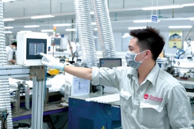 Tiêu chuẩn ISO 56000 - giải pháp hướng dẫn doanh nghiệp tiếp cận đổi mới sáng tạo