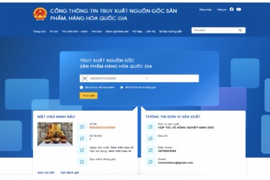 10 thông tin cơ bản khi áp dụng truy xuất nguồn gốc sản phẩm hàng hóa