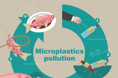 Cảnh báo: Các nước Đông Nam Á dẫn đầu về mức hấp thụ hạt vi nhựa có trong thực phẩm