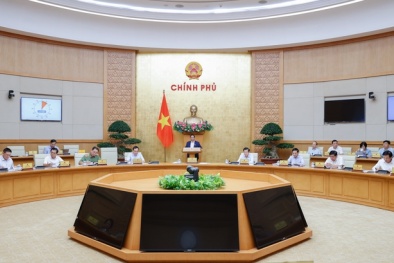 Nghị quyết phiên họp Chính phủ thường kỳ tháng 5 năm 2024