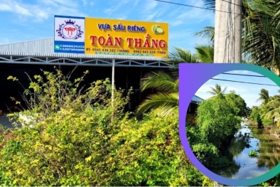 Xử lý vựa sầu riêng Toàn Thắng xả thải gây ô nhiễm môi trường