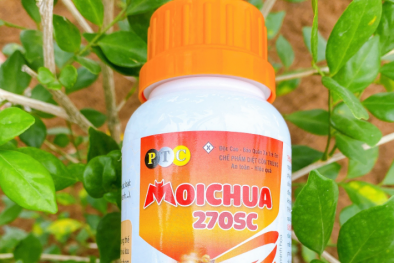 Công ty BVTV ATC bị đình chỉ hoạt động sản xuất hóa chất, chế phẩm diệt côn trùng