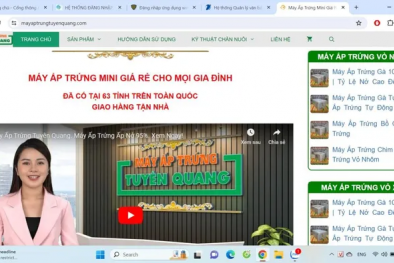 Xử phạt hộ kinh doanh bán hàng trên website TMĐT không thông báo  