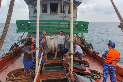 Liên tiếp phát hiện, tạm giữ 280.000 lít dầu DO nhập lậu không đảm bảo chất lượng