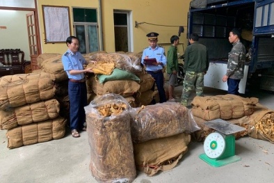 Tạm giữ gần 15 tấn nguyên liệu thuốc lá không rõ nguồn gốc, chất lượng