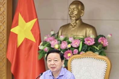 Khẩn trương ban hành tiêu chí xác định hệ thống ngành kinh tế xanh quốc gia