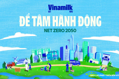 Công bố báo cáo phát triển bền vững, gia tăng tính minh bạch và hiệu quả quản trị