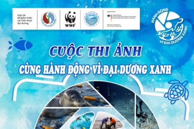 Phát động cuộc thi ảnh ‘Cùng hành động vì đại dương xanh’