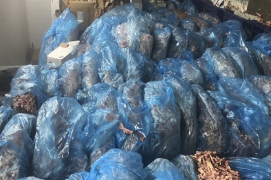 Thu giữ 3 tấn sản phẩm động vật không rõ nguồn gốc