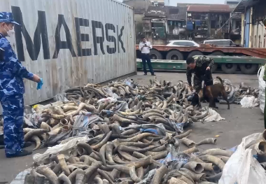 Hải quan phát hiện, bắt giữ và xử lý hơn 6000 vụ vi phạm về buôn lậu, hàng giả