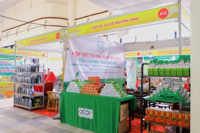 Sản xuất chè hướng tới mục tiêu OCOP: Mang sản phẩm chất lượng đến người dùng 