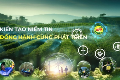 Phân bón Cà Mau công bố định hướng phát triển bền vững