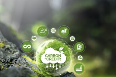 Cần hoàn thiện hệ thống pháp lý để thị trường mua bán carbon hoạt động hiệu quả