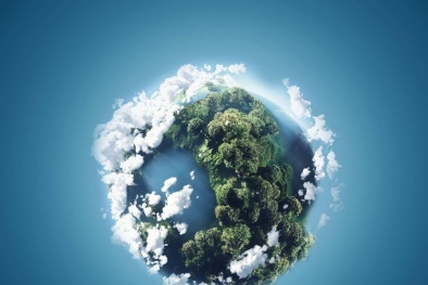 Bổ sung hoạt động giảm nhẹ phát thải khí nhà kính, phát triển thị trường carbon và bảo vệ tầng ozone