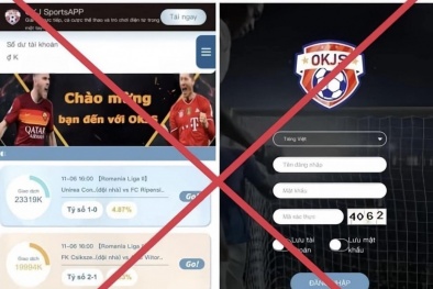 Euro 2024: Nở rộ nhiều website lậu, cá độ bóng đá lợi dụng lôi kéo người dùng