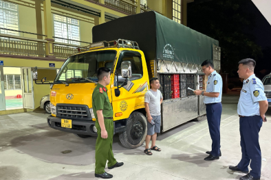 Thái Nguyên: Thu giữ gần 1,5 tấn dưa vàng không nhãn mác, không xác định được nơi sản xuất