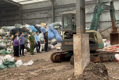 Quảng Ninh tiêu hủy gần 25 tấn chân gà đông lạnh không rõ nguồn gốc, xuất xứ