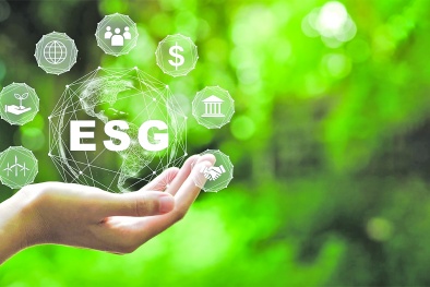 Một số ví dụ điển hình về vai trò quan trọng của tiêu chuẩn ESG