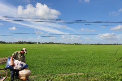 Sửa Luật Thuế 71: Vì một nền nông nghiệp hiệu quả, bền vững