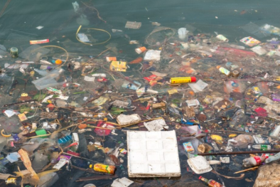 Tăng cường năng lực quốc gia về đo lường và giám sát các hóa chất hữu cơ khó phân hủy