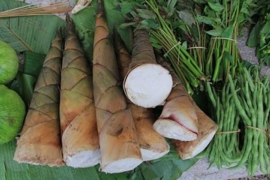 Cảnh báo những độc tố tự nhiên có sẵn trong động vật và thực vật cần đề phòng