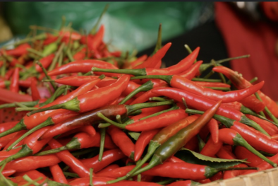 Một số quốc gia EU cảnh báo vi phạm an toàn thực phẩm đối với sản phẩm quế, ớt Việt Nam