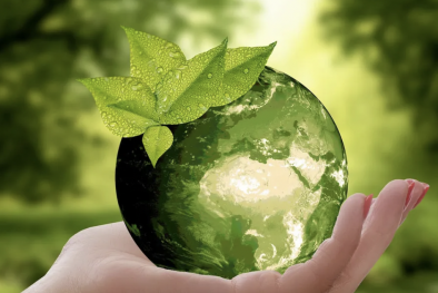 Bắc Ninh: Xử phạt Chi nhánh Công ty Haesung Tech do vi phạm trong lĩnh vực môi trường