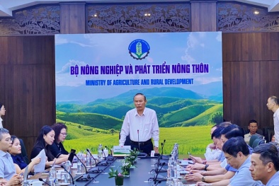 Duy trì tốc độ tăng trưởng cao, xuất khẩu ngành nông nghiệp năm 2024 sẽ đạt 54 tỷ USD 