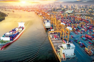 Nắm bắt cơ hội trở thành ‘mắt xích’ trong chuỗi cung ứng toàn cầu 