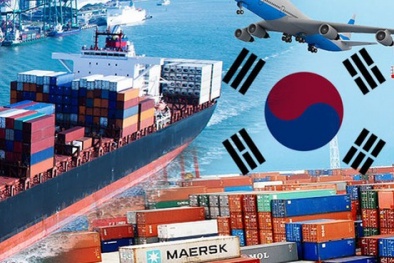 Kiểm soát chất lượng sản phẩm đảm bảo tiêu chuẩn xuất khẩu sang thị trường Hàn Quốc