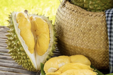 Sầu riêng có nhiều lợi thế để xuất khẩu vào thị trường Trung Quốc