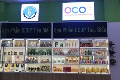TP. Hồ Chí Minh: Thúc đẩy Chương trình OCOP, nâng cao giá trị chất lượng sản phẩm
