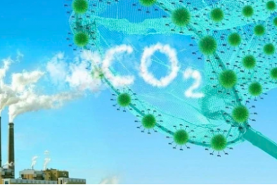 Nhiều quốc gia áp dụng thuế phát thải carbon để giảm phát thải khí nhà kính