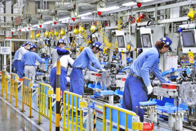 Sự tham gia của thanh niên đối với năng suất toàn diện (phần 4) - Các sáng kiến chính sách