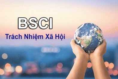 Tiêu chuẩn BSCI - 'tấm hộ chiếu' cho doanh nghiệp Việt thâm nhập thị trường quốc tế
