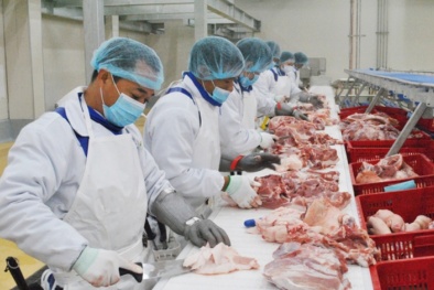 EU ban hành quy định về sửa đổi liên quan đến chứng nhận an toàn thực phẩm động vật 